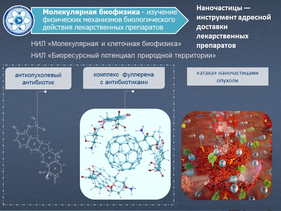 Одно из направлений научной деятельности, которое могут выбрать студенты